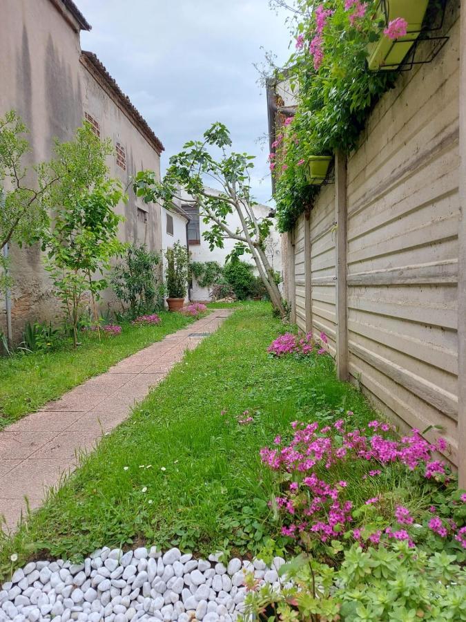 Un Po Sul Delta Villa Ariano nel Polesine Eksteriør billede